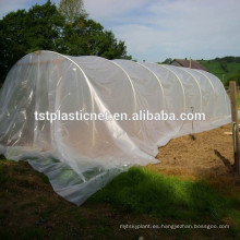 Película de cubierta de casa verde para tomate